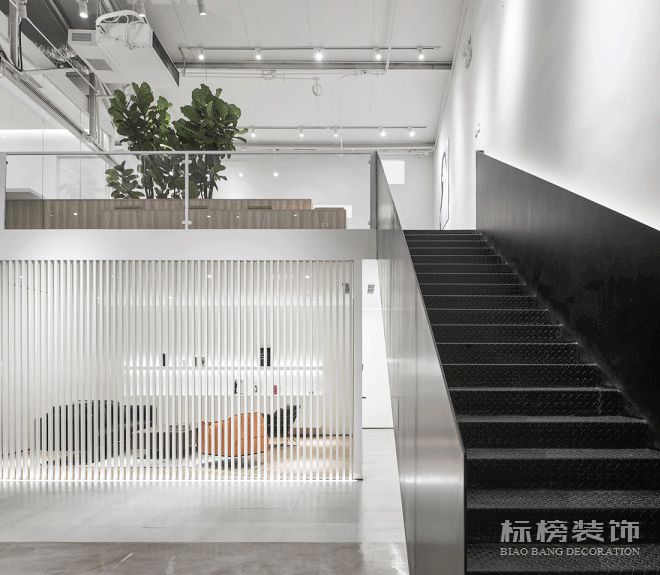 辦公室植物擺放植物有哪些，怎么擺放比較好？